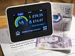 Energy bills will remain 'stubbornly high' until the end of the decade, major supplier warns