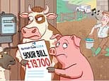 My electricity bill is £200 but British Gas took £19,700 from my account and a month later they hadn't paid me back: SALLY SORTS IT
