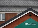 Persimmon defies the gloom: Housebuilder predicts it will hit 'upper end' of targets this year