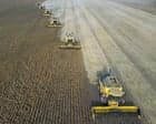 ‘Super’ El Niño could cause global food price shock lasting into 2028, analysts say