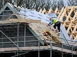 A nudge here and there, rather than heavy handed interventions to unleash growth: ALEX BRUMMER