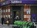 'You need strong banks': NatWest boss opposes windfall tax as profits soar 29%
