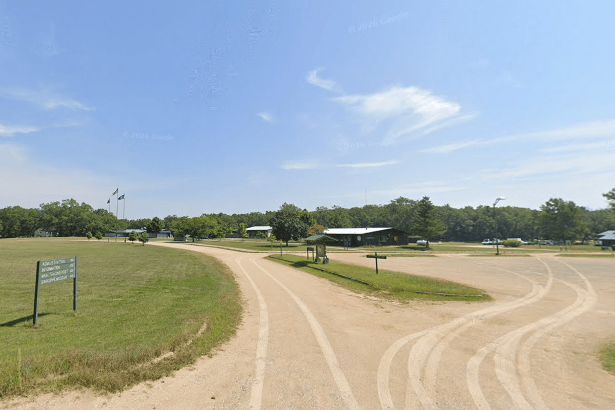 Boy, 11, killed by falling tree at Scout camp in Michigan