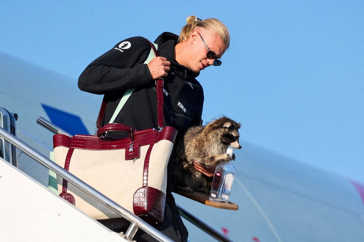 Erling Haaland brings $750 stuffed raccoon back to Norway after World Cup exit