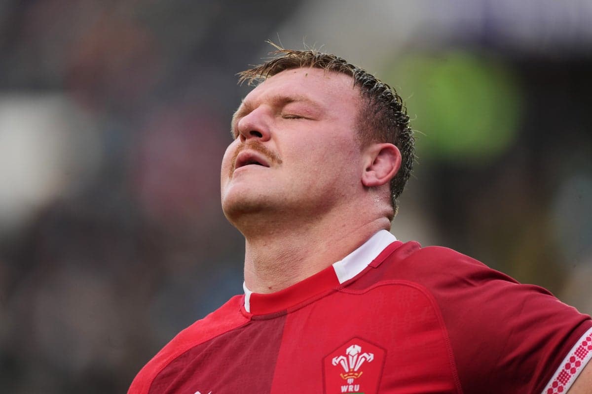 Wales back to losing ways as Argentina cruise to Nations Championship triumph