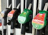Summer blues for motorists as renewed conflict in the Middle East drives up the cost of oil