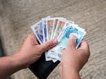 More than 400,000 votes cast on which animals should feature on our banknotes - which option would YOU pick?