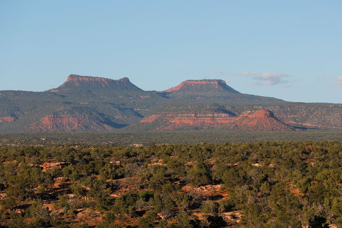 Outdoor gear retailer Patagonia sues Trump for shrinking beloved Utah national monument managed by tribes