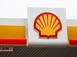 Shell profits more than double as traders cash in on volatile oil prices