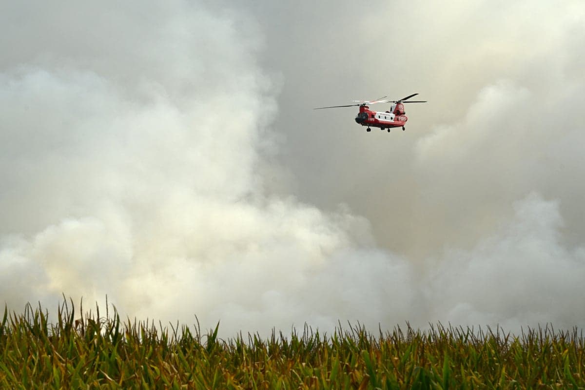 Australia braces for bushfires in almost every state as El Niño strengthens