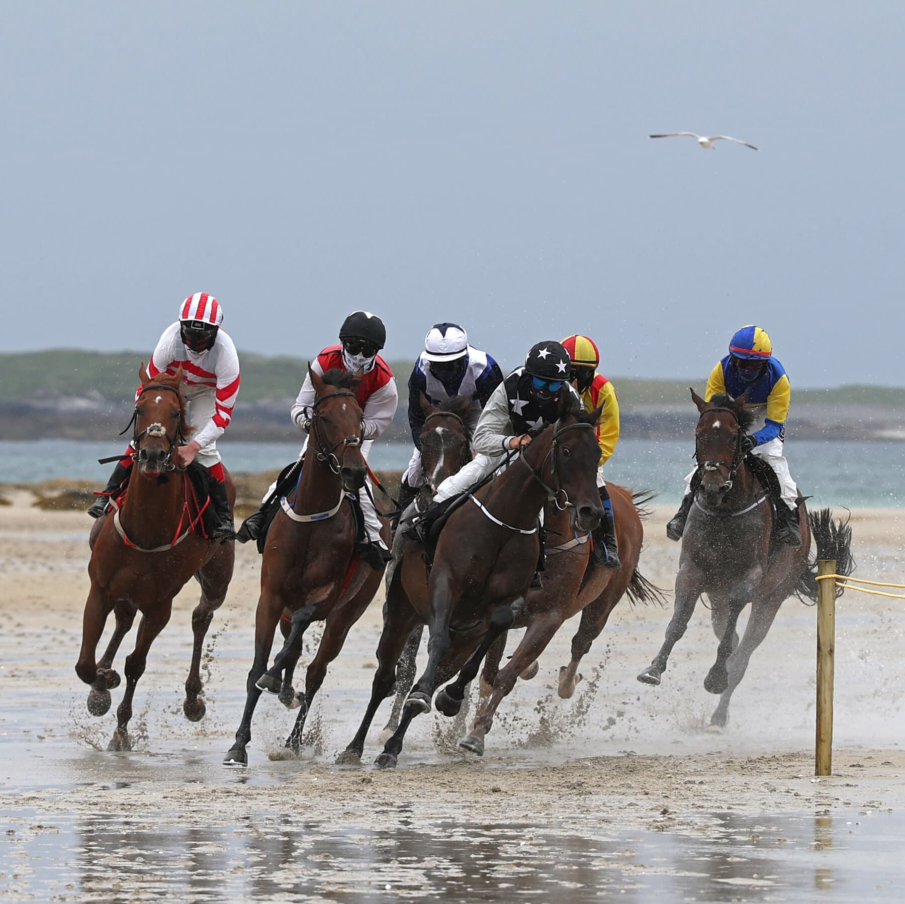 Where Future Champions Race Against the Tide