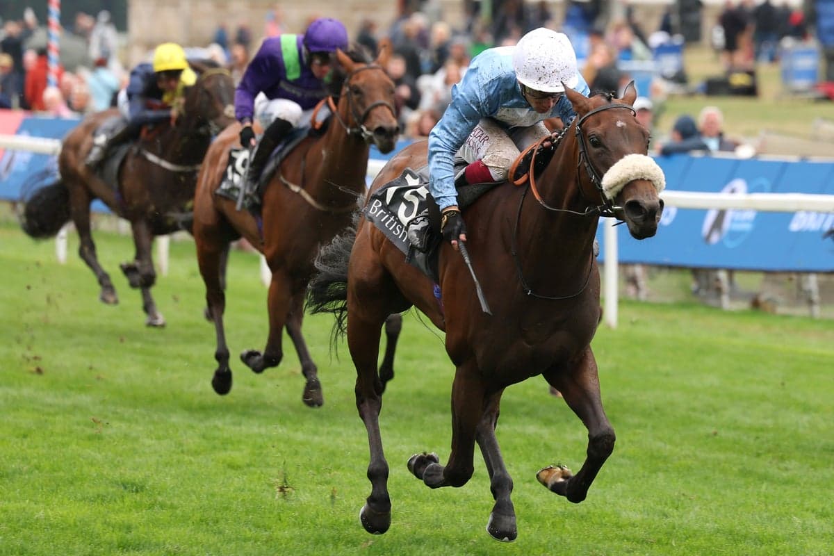 Friday racing tips: Best bets and odds for York
