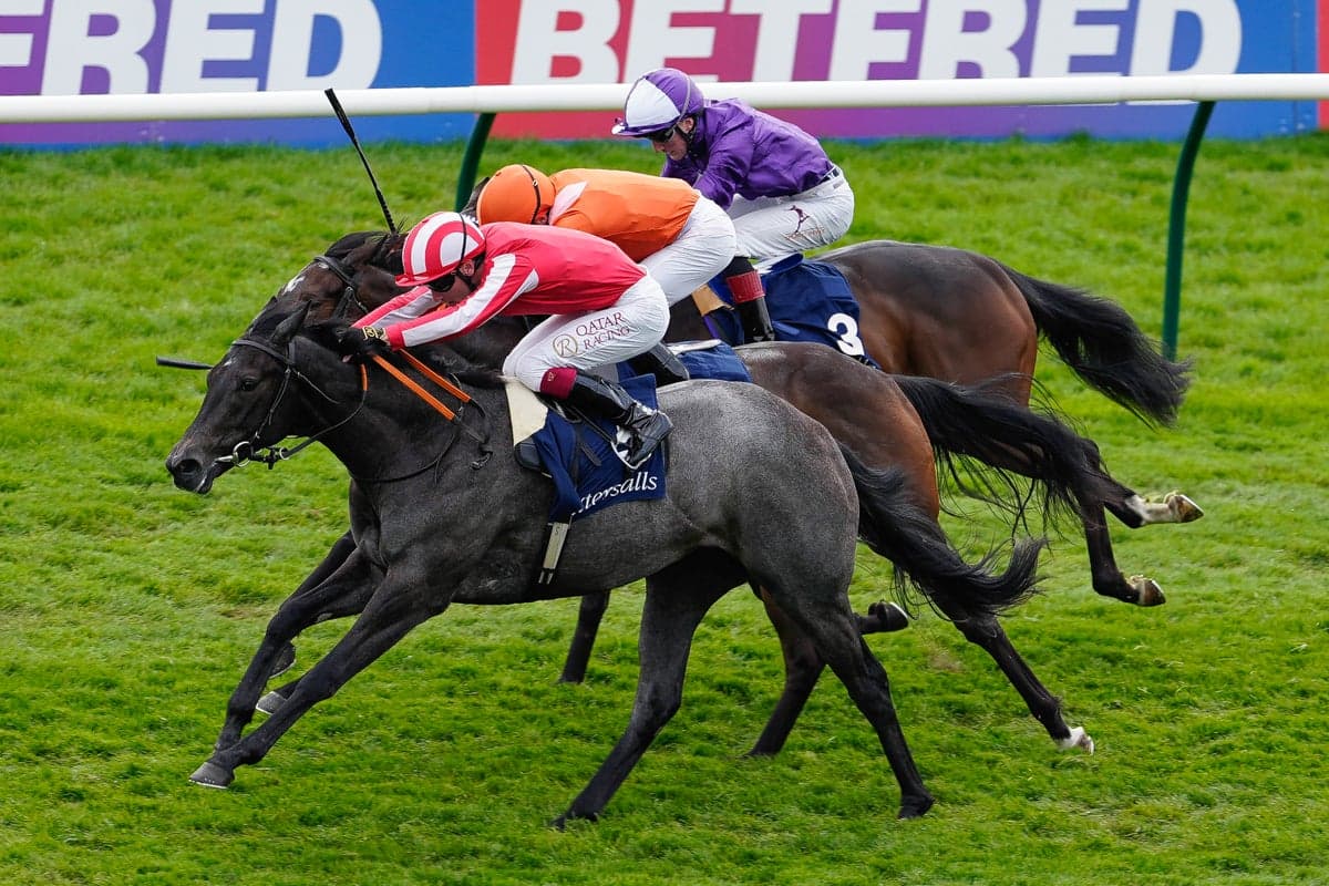 Friday racing tips: Best bets and odds for Newmarket’s July Festival