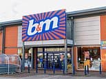 B&M shares slip as UK sales disappoint despite warmer weather