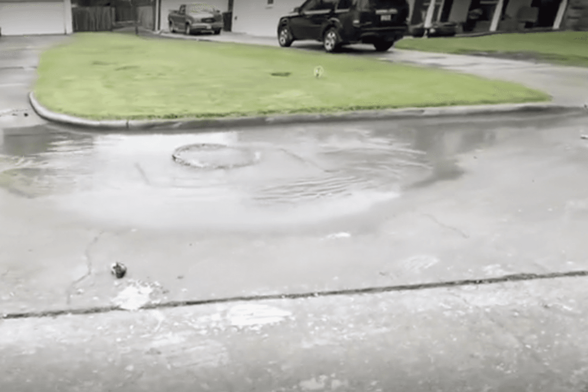 Residents in Houston neighborhood rage as raw sewage floods the streets after storms: ‘Literally straight up just raw s***’