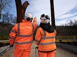 SMALL CAP IDEA: Galliford Try, the builder with a fortress balance sheet and a growing order book