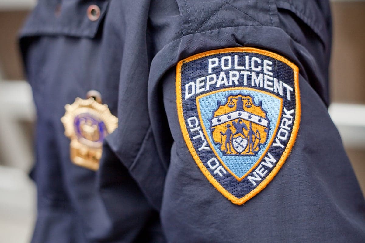 Apparent human remains found in school chimney in New York City