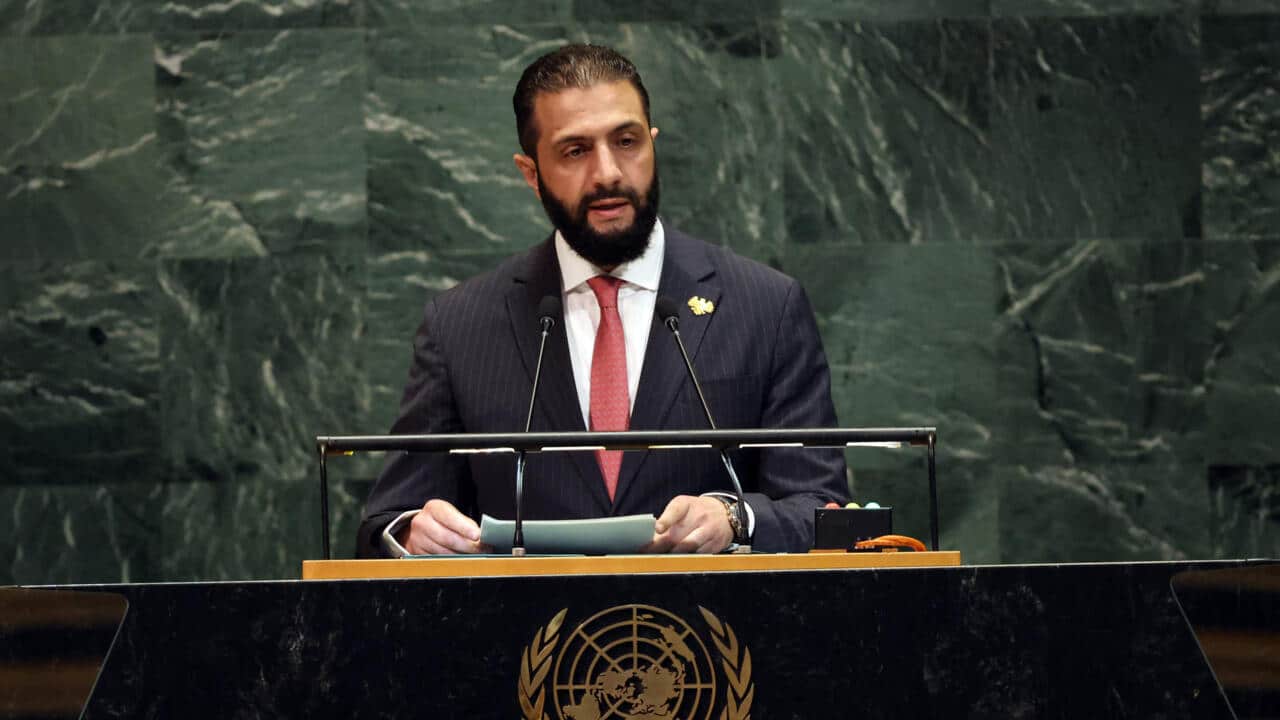 Nidal Shoukeir, How Did Ahmed Al-Chara’s Star Shine in New York?