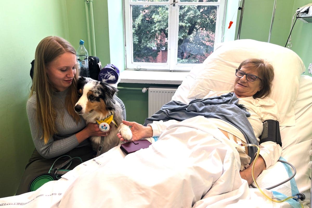 A cancer patient’s cat inspired a push for a law change in Poland