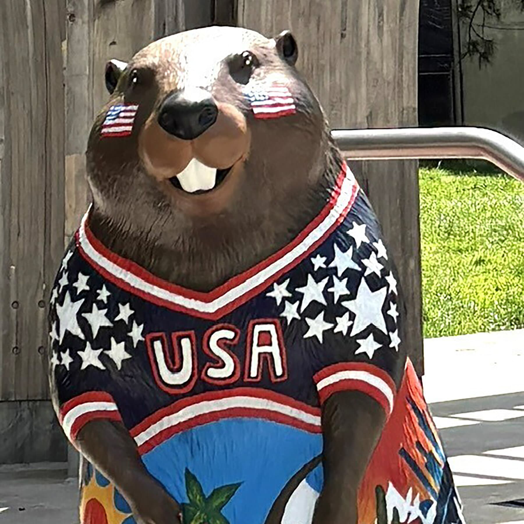 Beaver Statue Honoring the United States Is Smashed in Toronto
