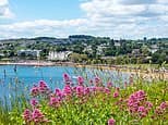 The 10 locations where house prices are FALLING and first-time buyers can bag a bargain