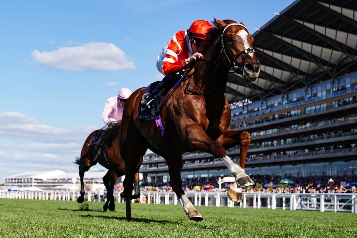 Saturday’s racing tips: Best bets and odds from Newmarket and York