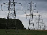 National Grid slashes size of its top management team from 13 to eight in major shakeup