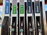 Why Audi's £82k diesel SUV can run on vegetable oil - but is it better than getting an EV and where can I fill up?