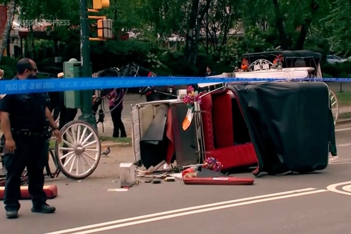 Tourist’s death reignites calls to ban horse-drawn carriages in Central Park