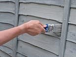 My neighbour put up a new fence but says I can't paint my side. Can he stop me? DEAN DUNHAM KC  replies