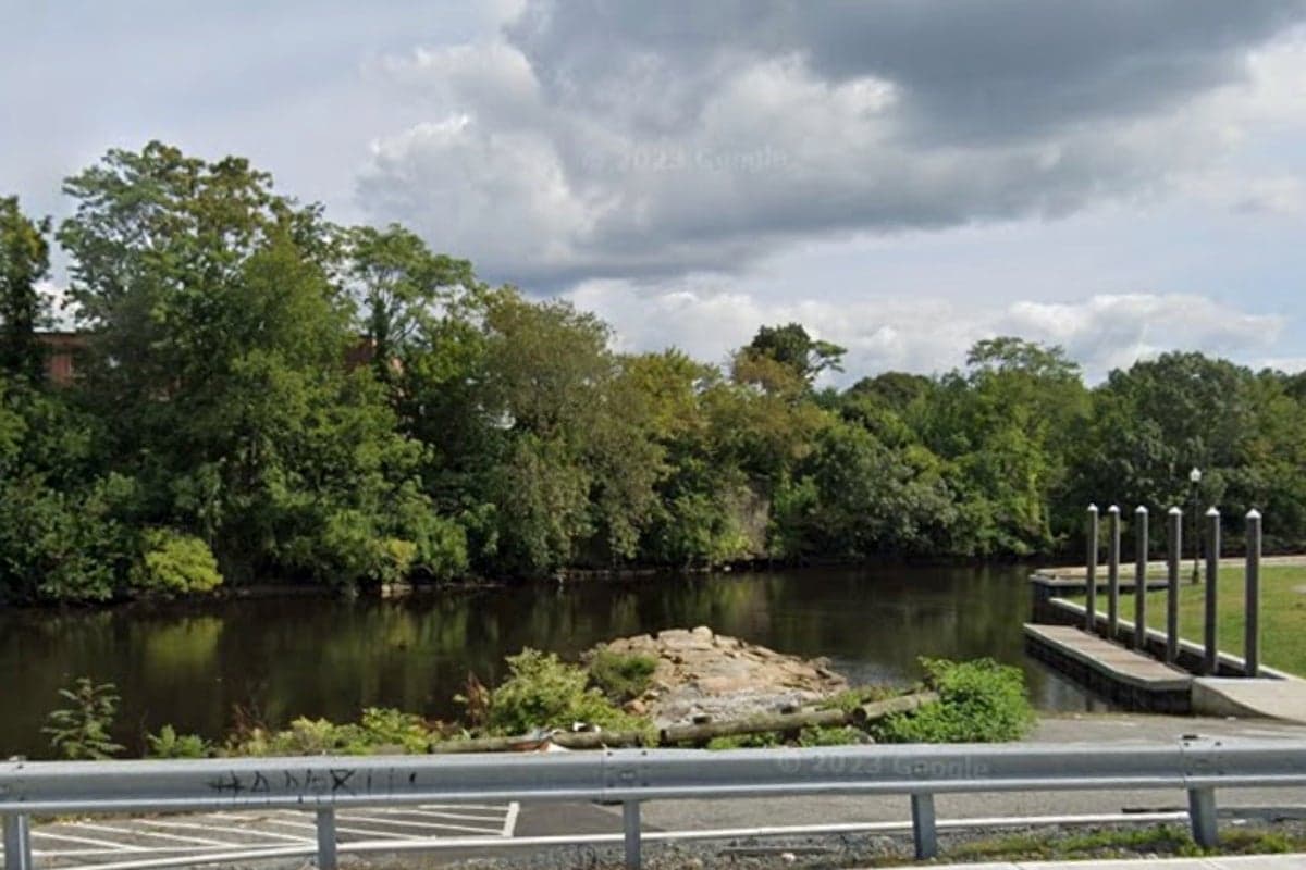 Three generations, including 2-year-old girl, killed during driving lesson after car plunges into river