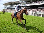 Horseracing in Britain could need private equity treatment, says ALEX BRUMMER
