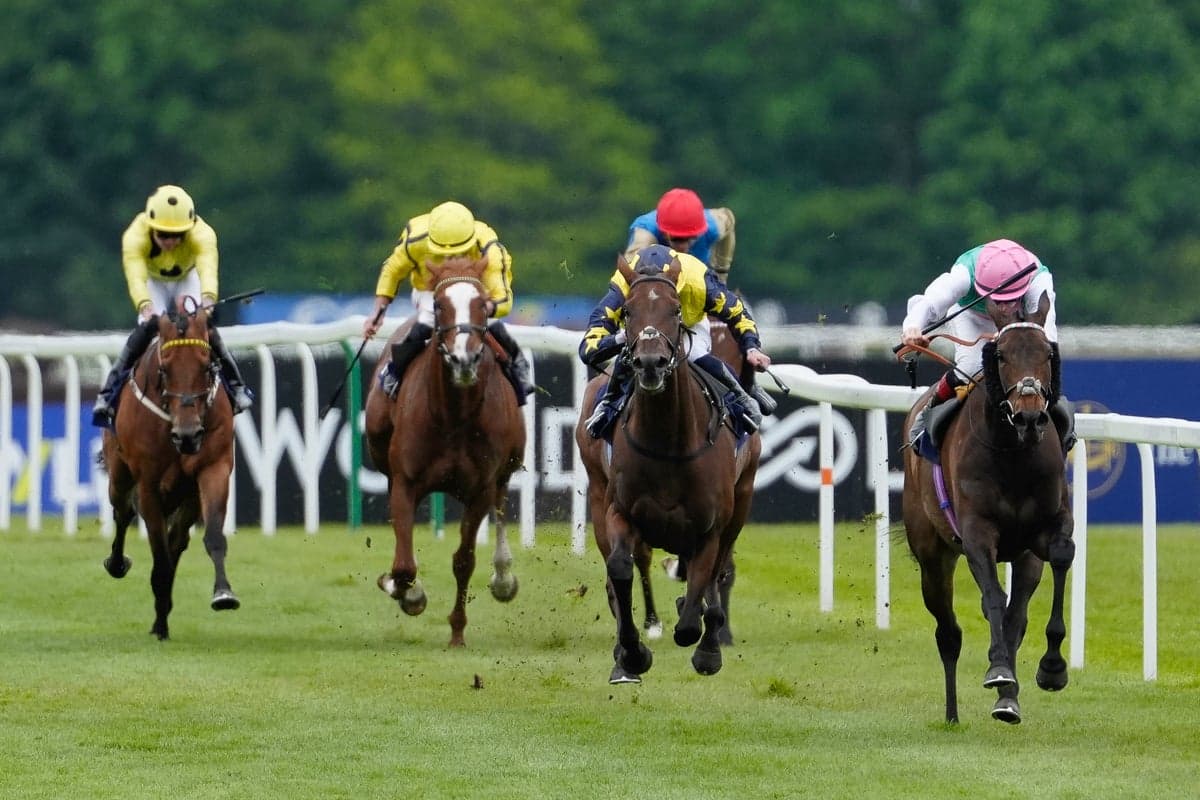 Friday’s racing tips: Best bets and odds for Newbury, Pontefract and Hamilton