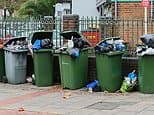 Our HMO neighbour hell: David and his wife lived in a quiet street for 43 years but were powerless when the house next door was converted. Now, they've had thousands wiped off their home - and this is how it could happen to you too
