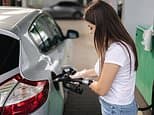 Government's £2m Fuel Finder scheme which aims to save motorists money branded a 'disaster'