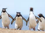 Rockhopper rocked by Argentine threats over Falklands oil