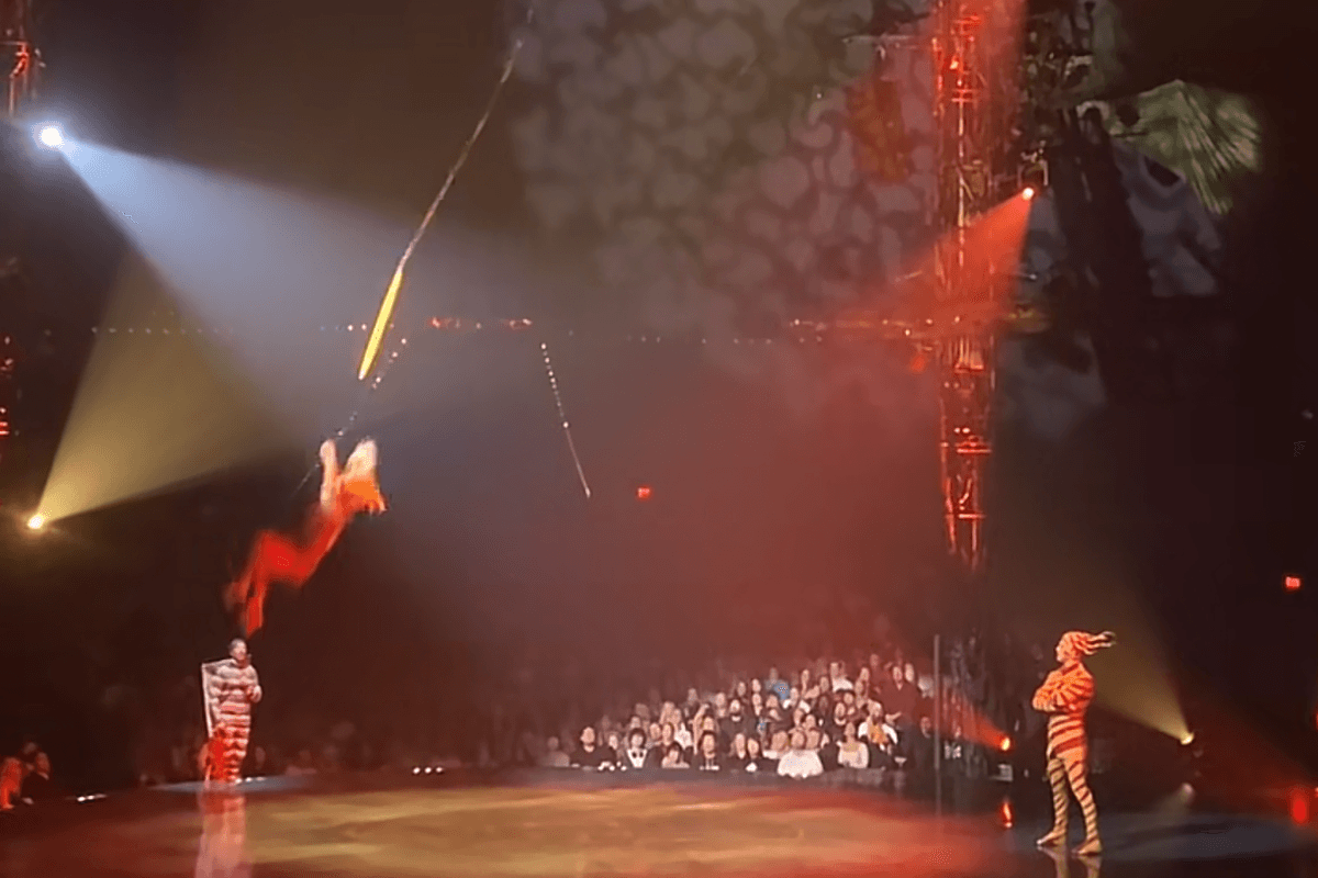 Cirque du Soleil acrobat sues circus for $16 million after breaking 11 bones in fall