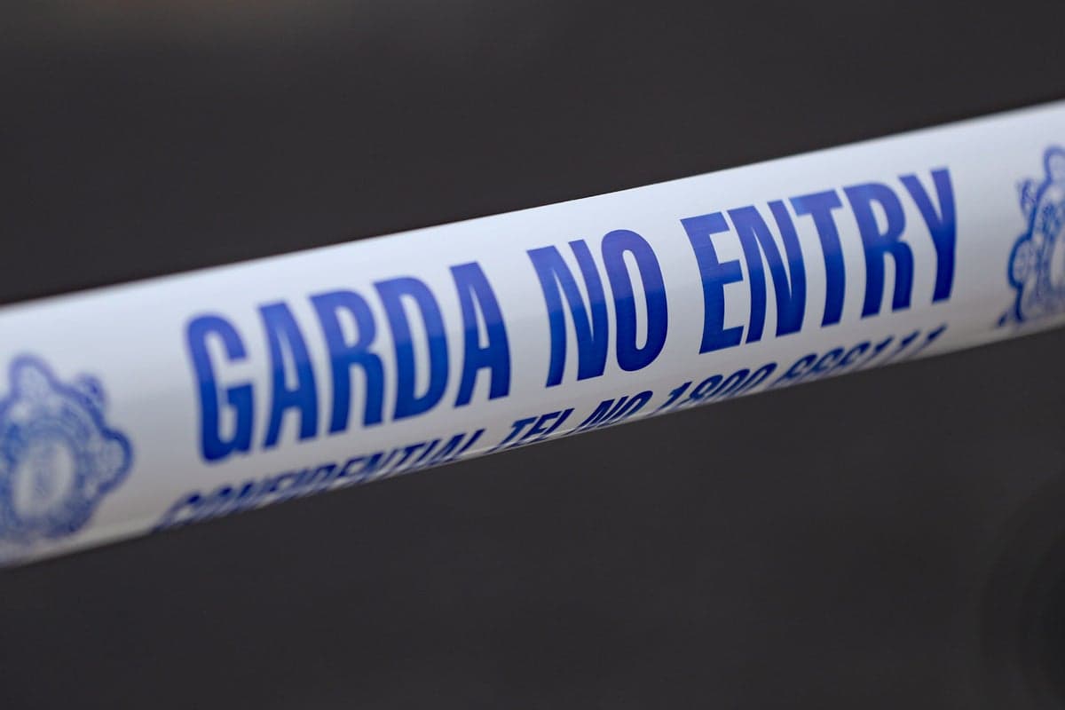 Multiple people killed and children among seriously injured in head-on motorway crash