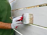 My neighbours have painted the wooden boundary fence on their side. My son believes this is criminal damage and reported it to the police - but they won't do anything. What are my rights? DEAN DUNHAM responds