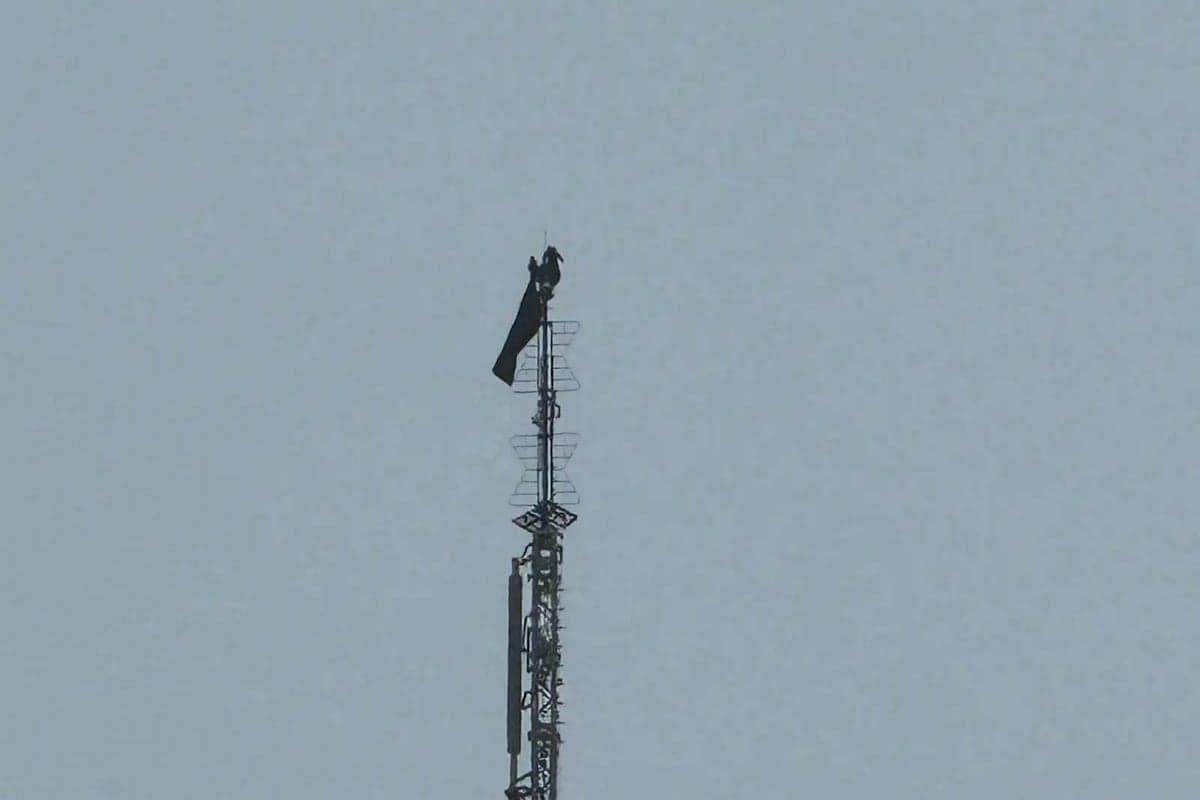 Daredevil couple arrested after scaling Empire State Building to get engaged 1,450 feet in the air