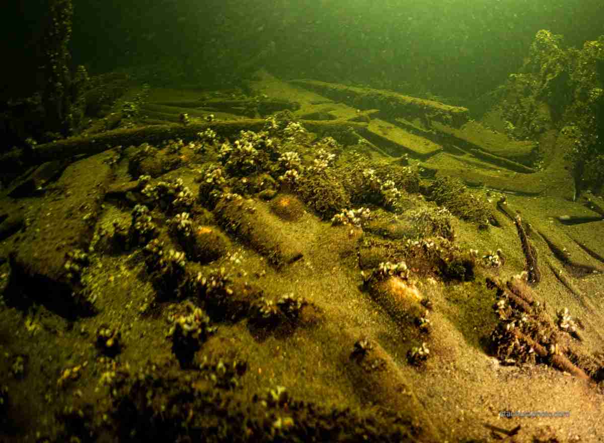 One hundred unopened bottles of champagne found inside 19th century shipwreck