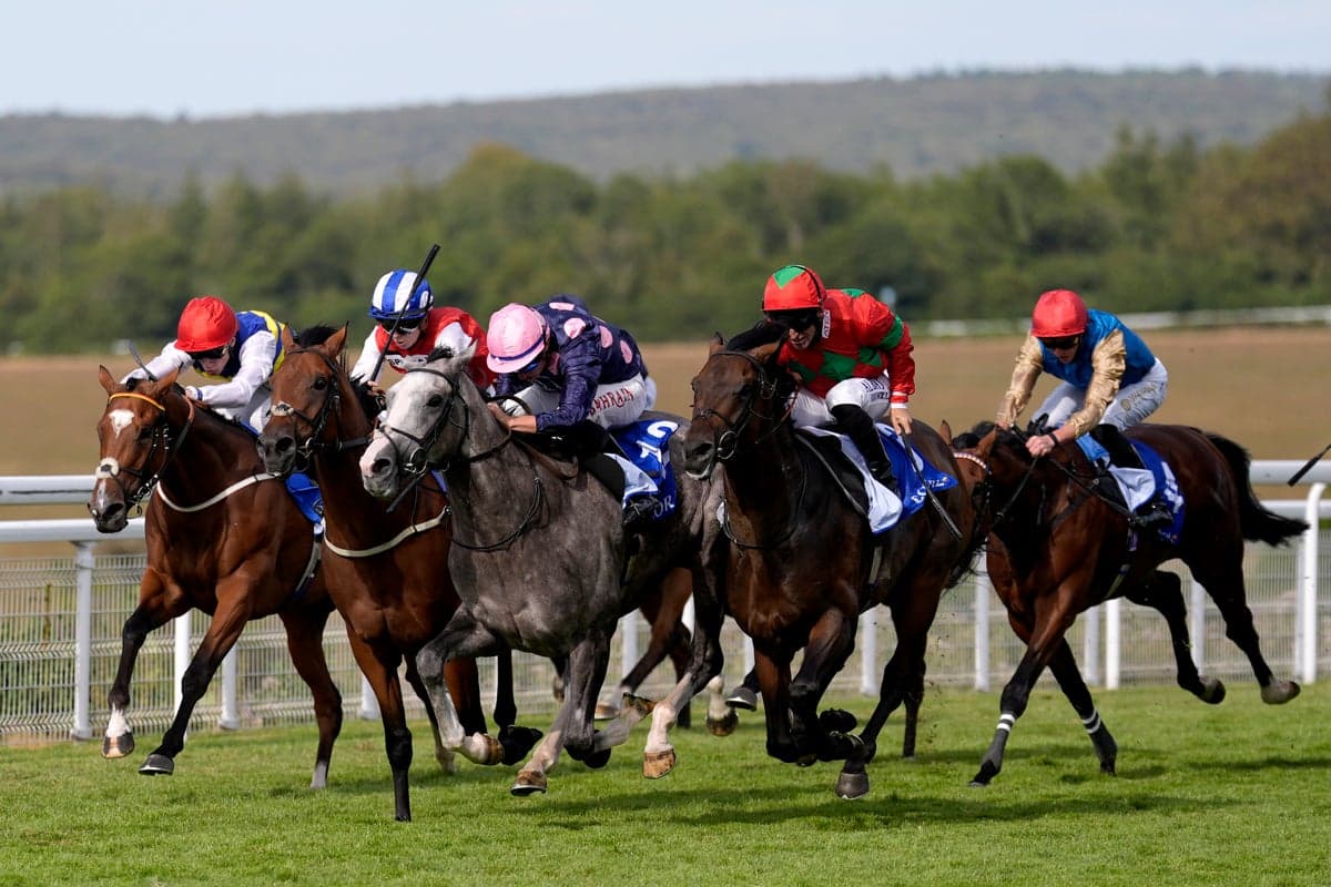 Saturday racing tips: Best bets and odds on Goodwood