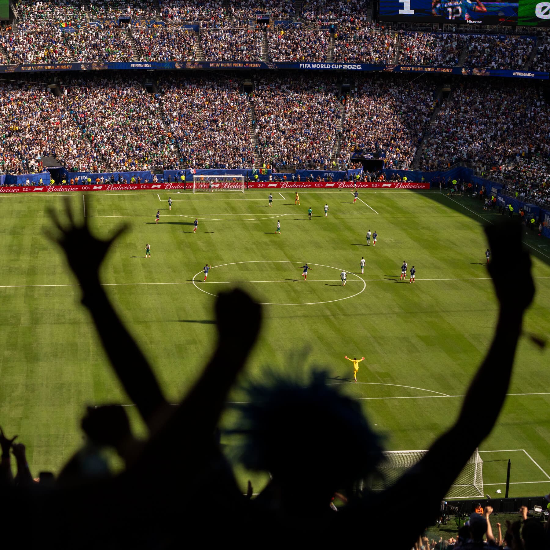 Delightful World Cup Stories