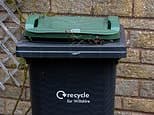 Revealed: The councils which charge residents most to take away garden rubbish