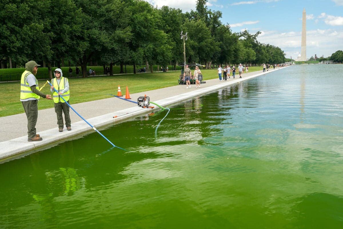 Trump administration blames Obama after ‘blue’ Reflecting Pool turns green after $14M refurb