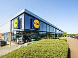 Lidl to open 50 new stores this year as  discounter ramps up pressure on rivals