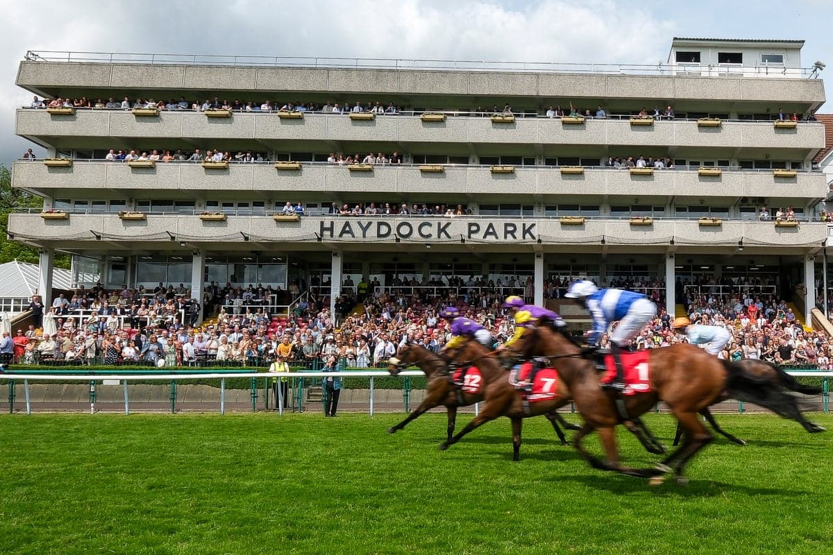 Friday’s racing tips: Best bets and odds at Ascot and Haydock