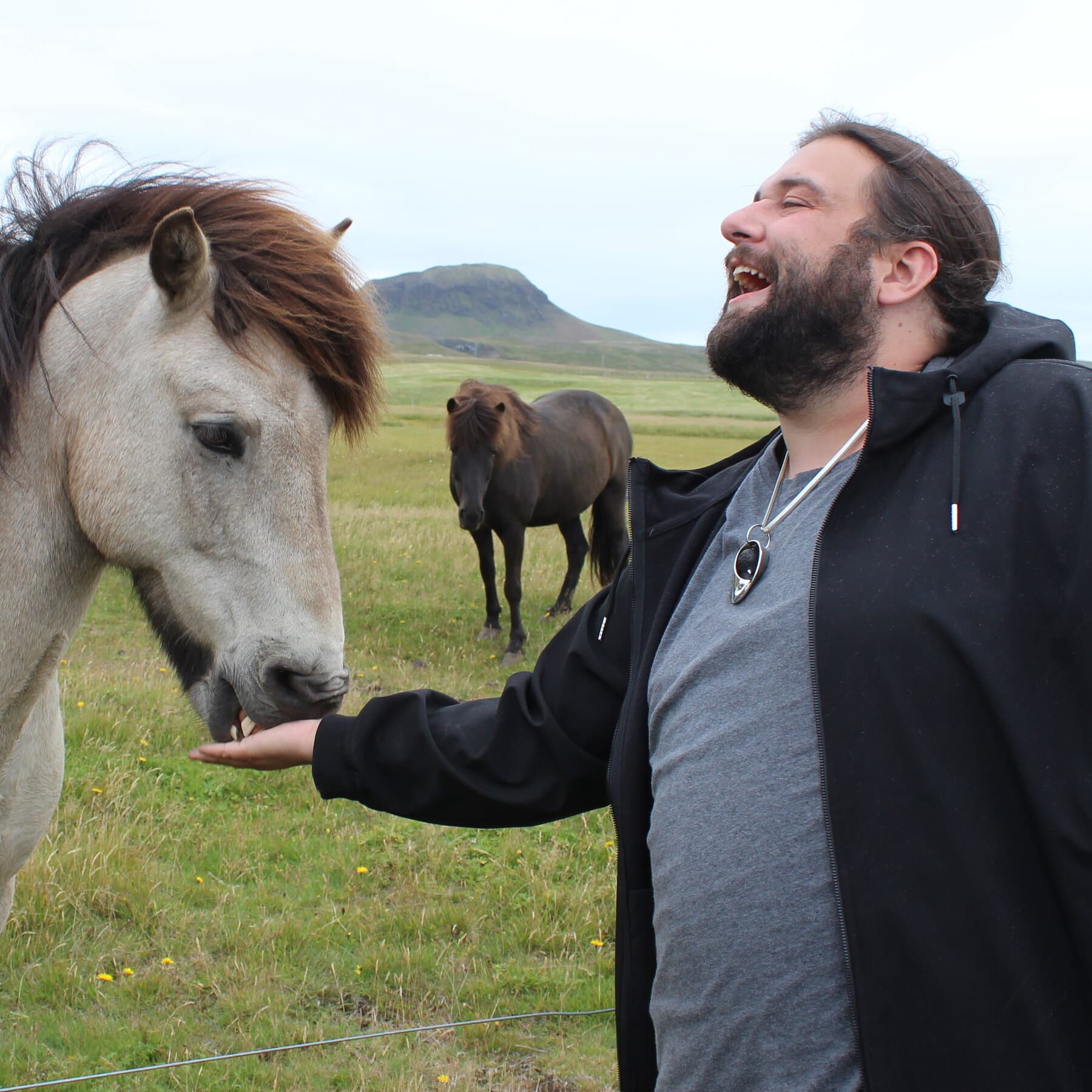 Eclipse chasers stake out their viewing spots in Iceland.