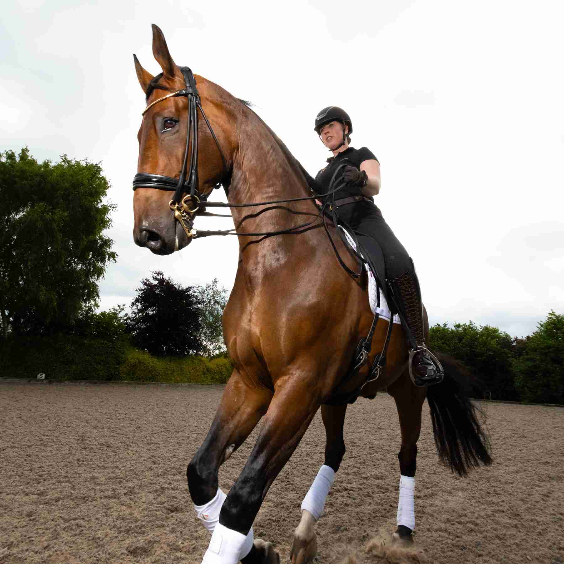 How to Teach a Horse to Dance