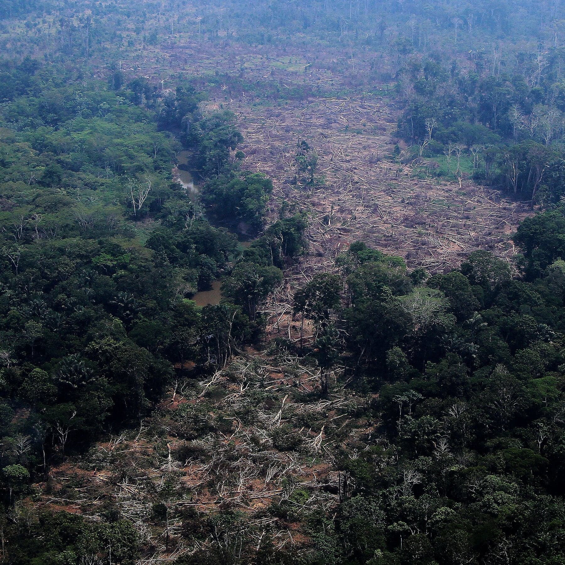 Planet Earth and Brazil’s Election